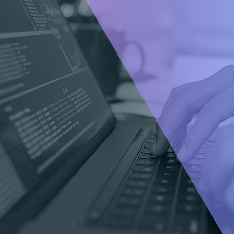 Custom Software Development